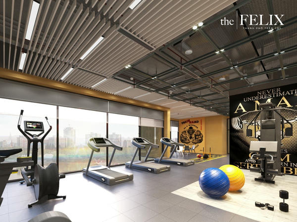 Gym Dự án The Felix C-holding Thuận An